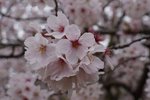 DSC09671
