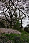 DSC09674