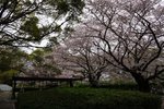 DSC09675