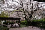 DSC09676
