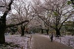 DSC09677