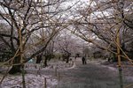 DSC09678