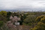 DSC09679