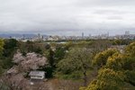 DSC09680