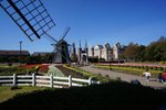 DSC08666