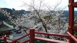 20160323_103112