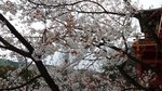 20160323_103310