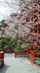 20160323_103531