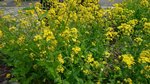20160323_105202