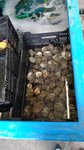 20160323_111616