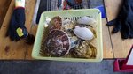 20160323_112004