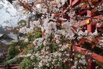 DSC08851