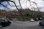 DSC08853