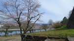 20160325_113819