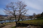 DSC08971