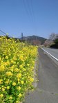 20160328_095137