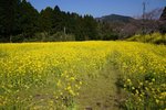 DSC09070