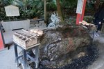 DSC09137