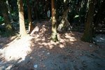 DSC09143