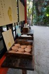 DSC09144