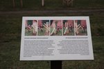 IMG_2077