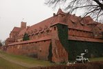 IMG_2082