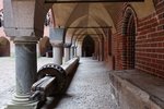 IMG_2124