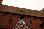 IMG_2125