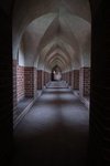 IMG_2145