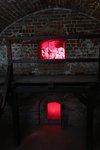 IMG_2205