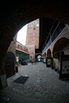 DSC03557