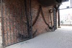 IMG_2499