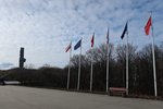 IMG_2528