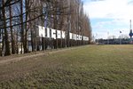 IMG_2529