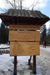IMG_2939