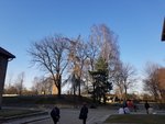 20180403_175938