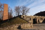 IMG_4194