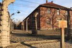 IMG_4197
