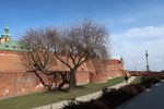 IMG_4581