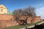 IMG_4582