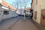 IMG_0391