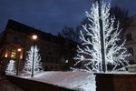 IMG_1108