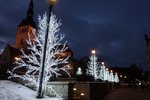 IMG_1109