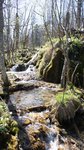 DSC07353