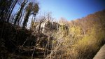 DSC07387