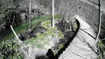 DSC07398