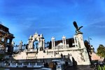 P1010781