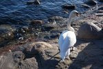 DSC02597