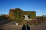 DSC02606