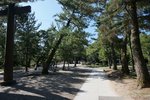DSC02217